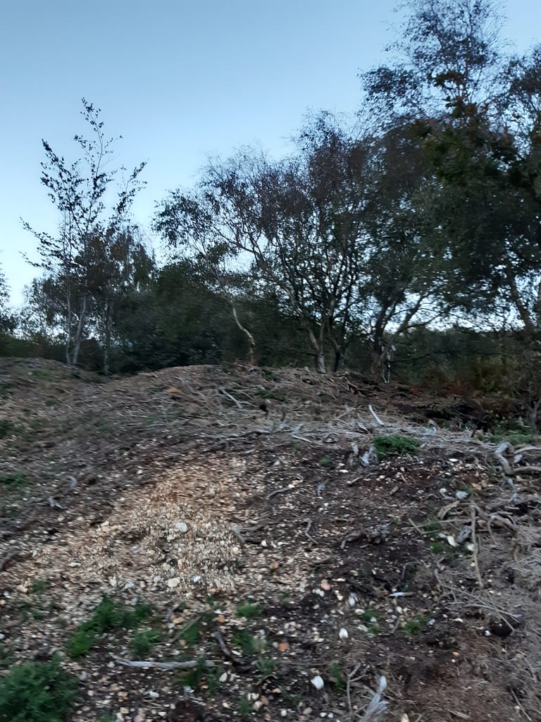 bank by the road