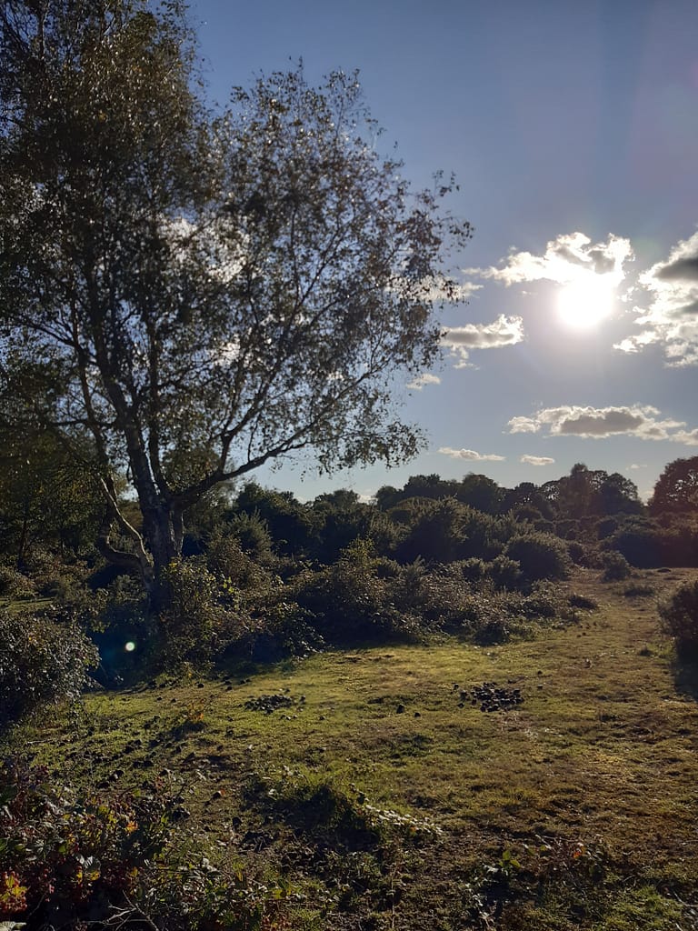 above the car park near Pilley