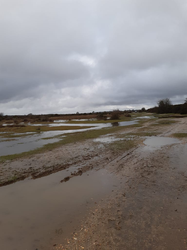 Beaulieu Heath