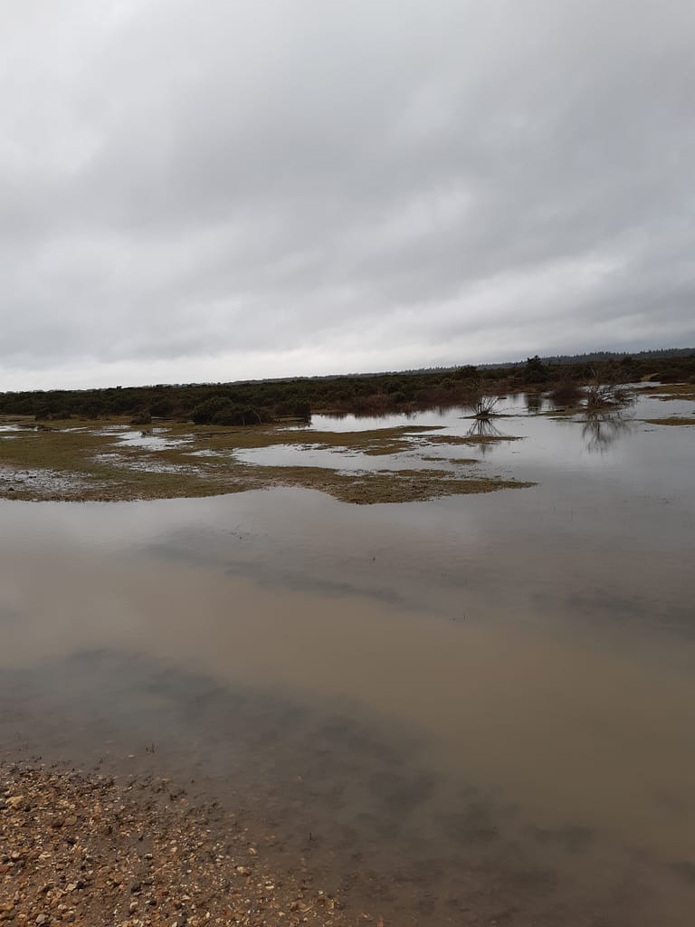 water everywhere