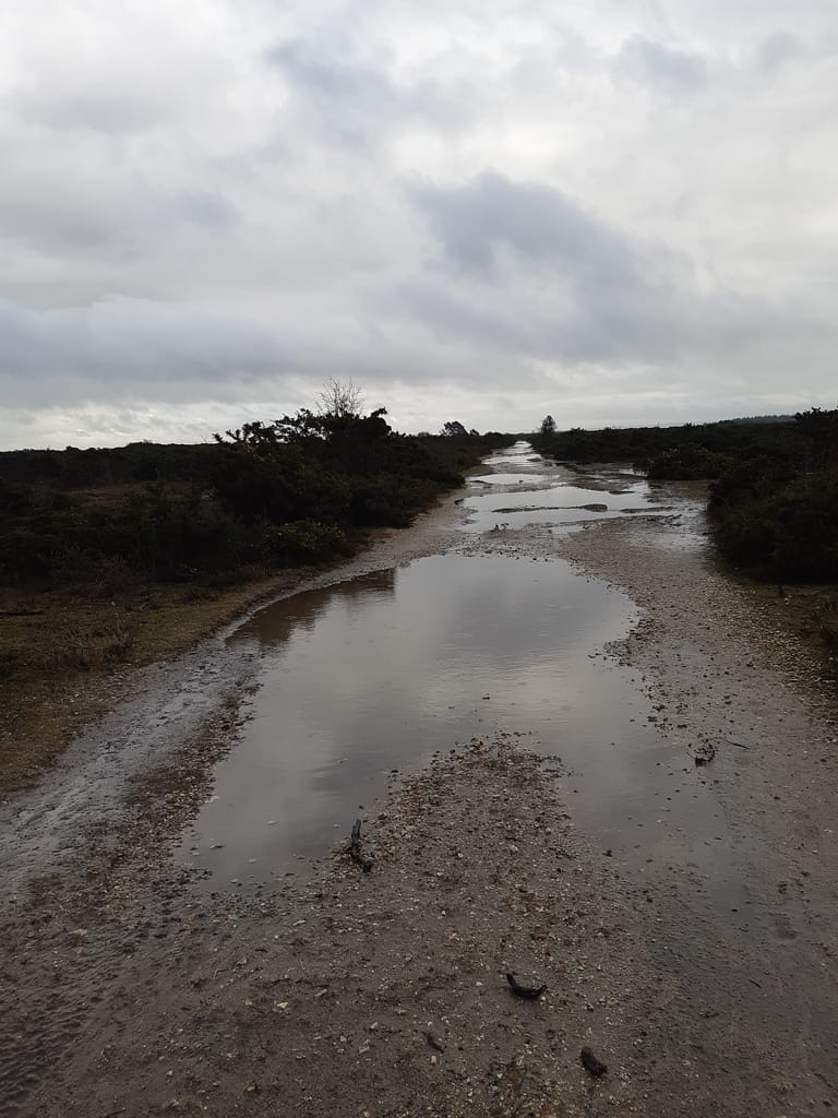 puddly paths