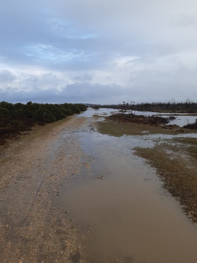 wellies needed