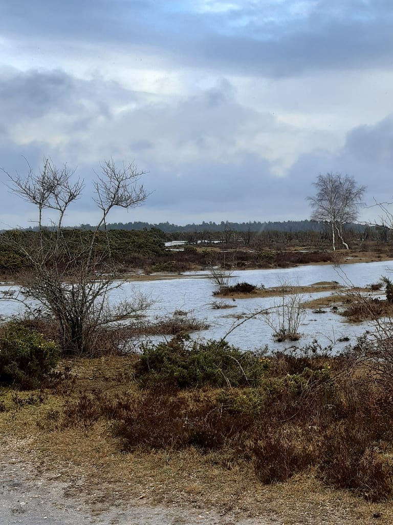 winter floods