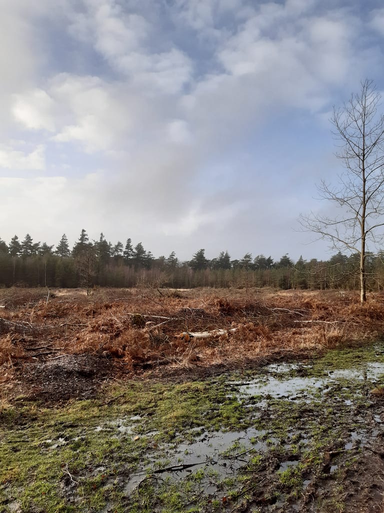 desolation or habitat improvement ?