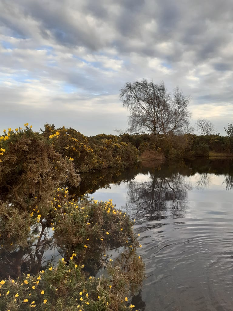 second pond