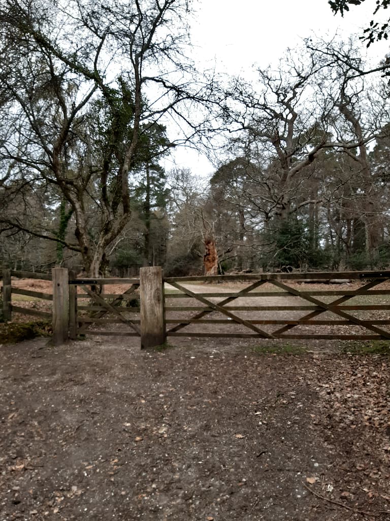 gate into Frame wood from Hawkhill area