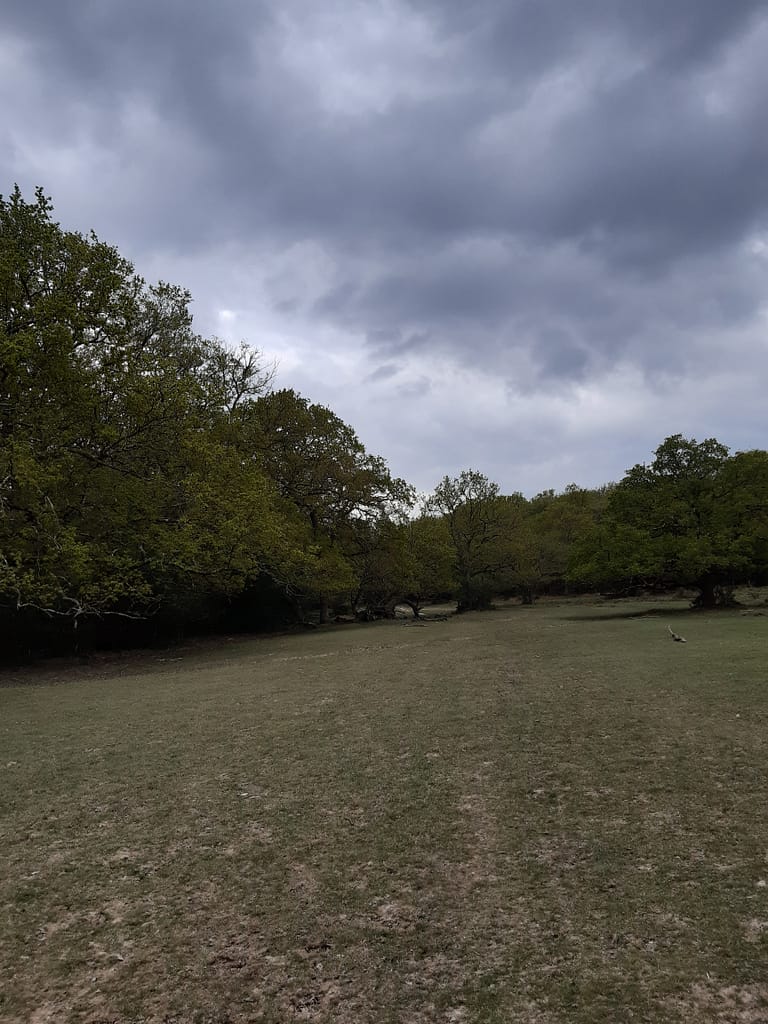 Abbotswood, near Beaulieu