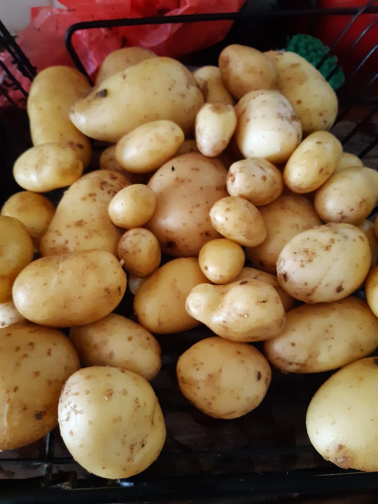 new potatoes