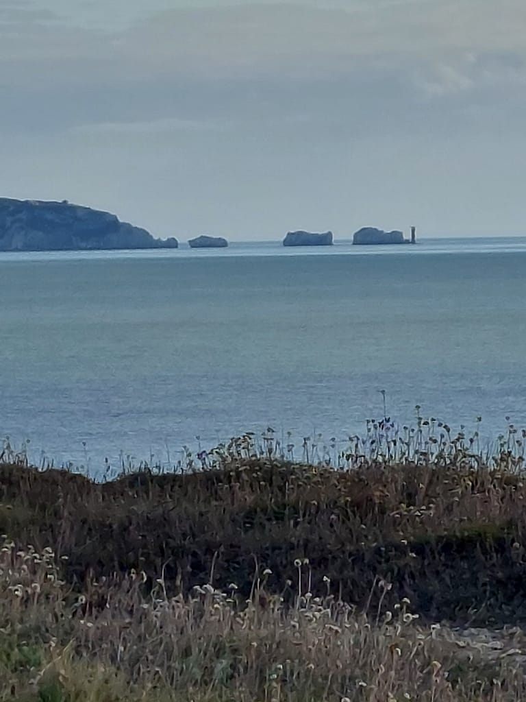 The Needles