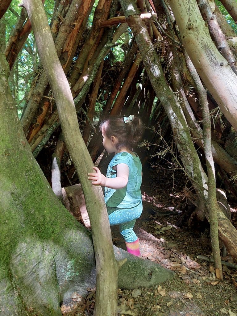 toddler adventures at Wilverley
