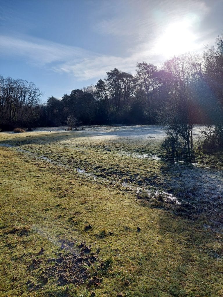 frosty morning in Broadley