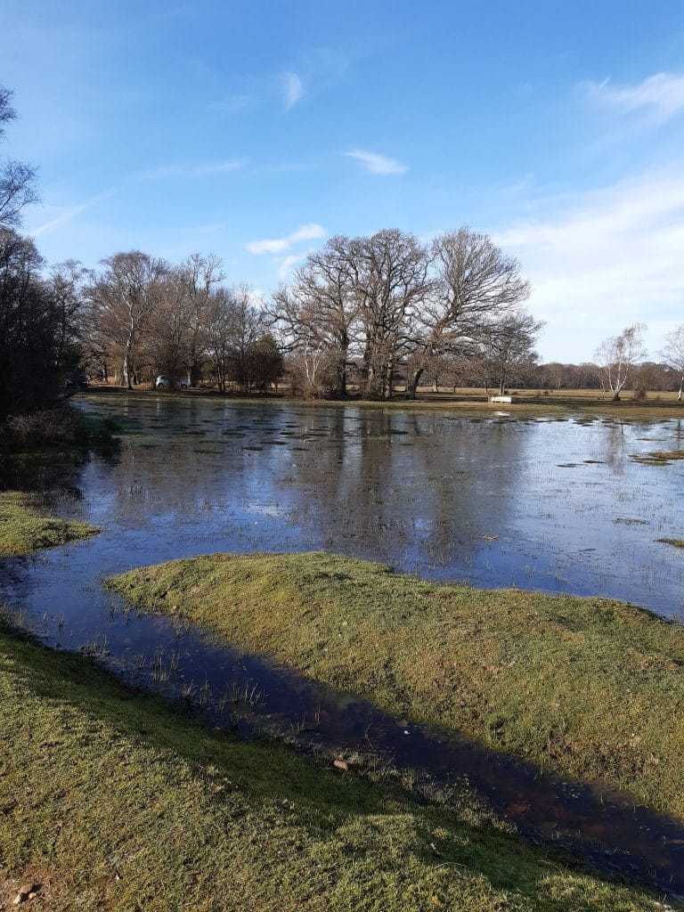 Balmer Lawn under water