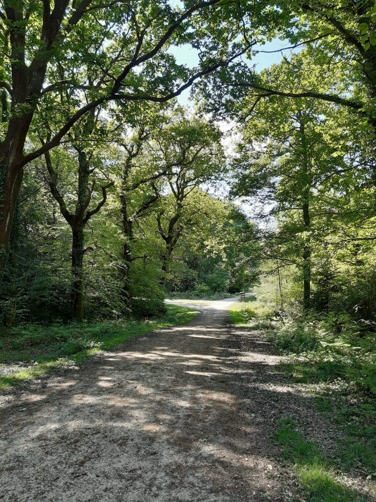 side track