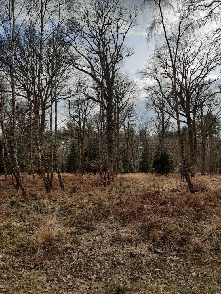 Tilery Road in winter