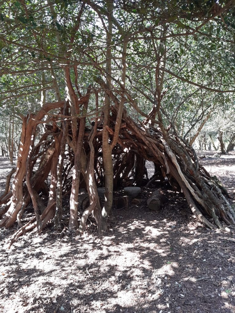 stick house in Shirley Holmes wood