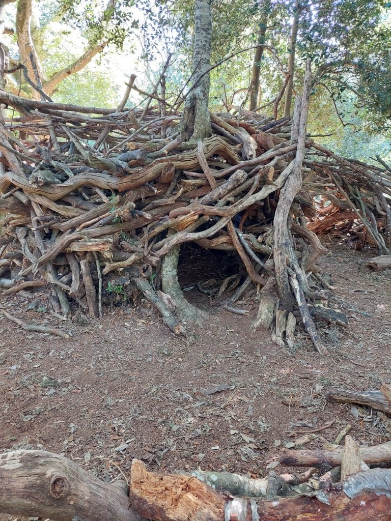 stick house in Hinchelsea woods