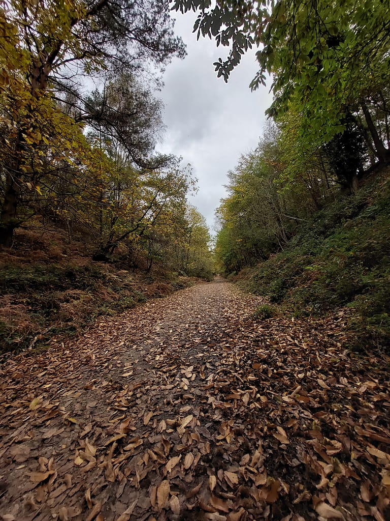 castlemain railway track walk