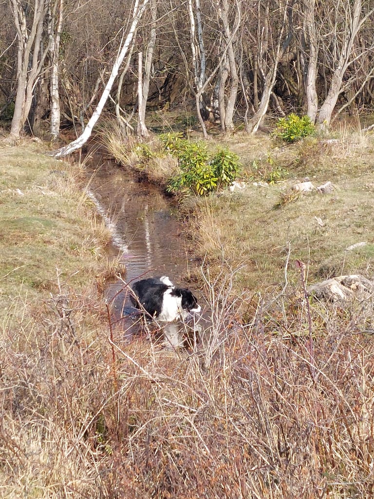 Cwtch exploring