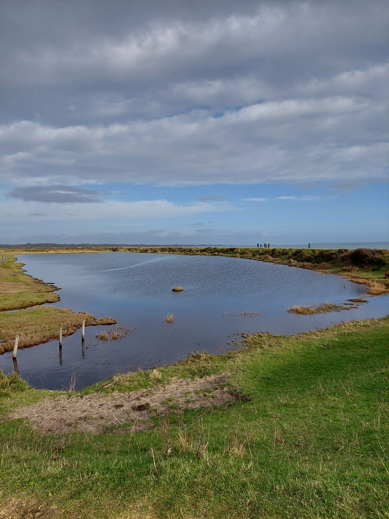 one of the salt lagoons near Pennington