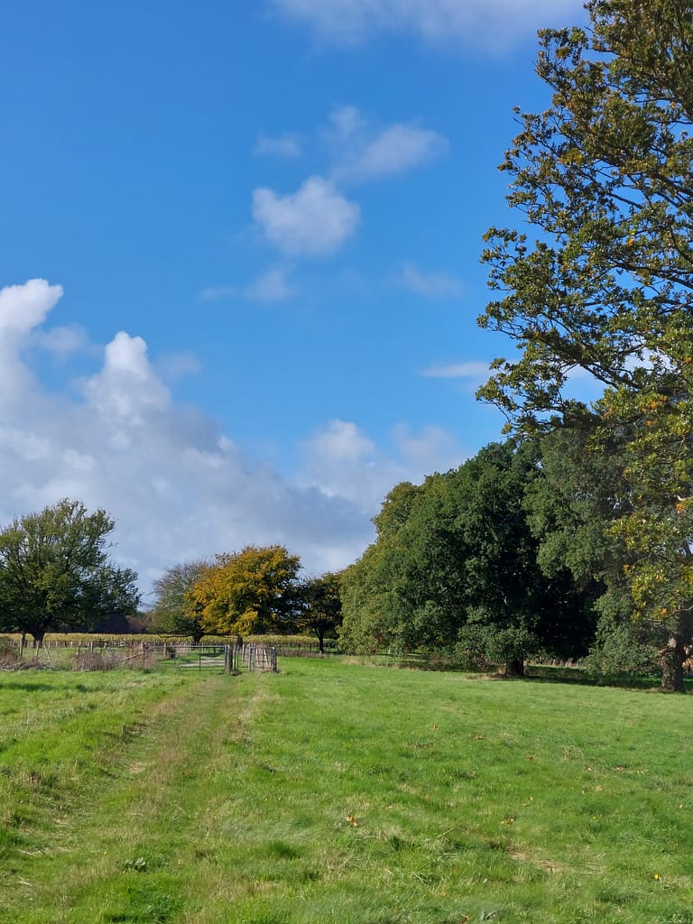 path past cricket field