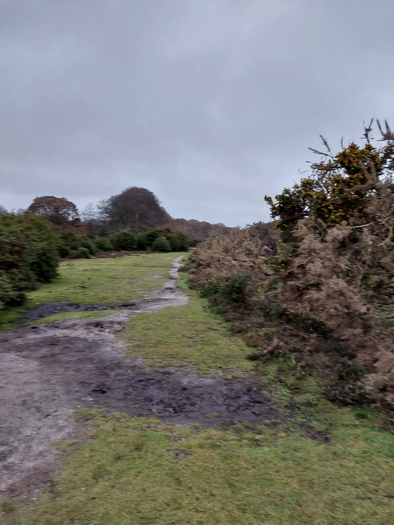 one of tracks across Latchmoor