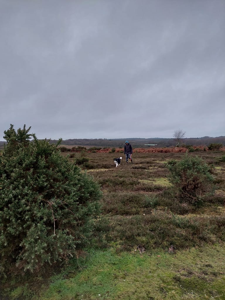 bleak midwinter