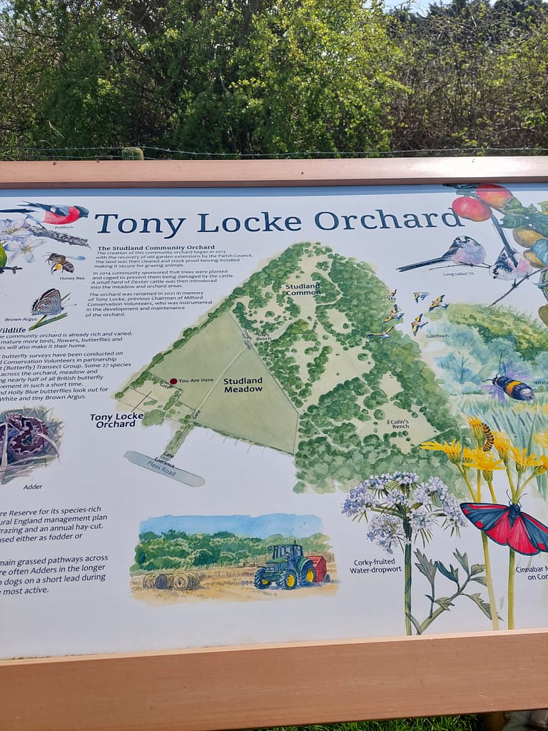 community orchard map