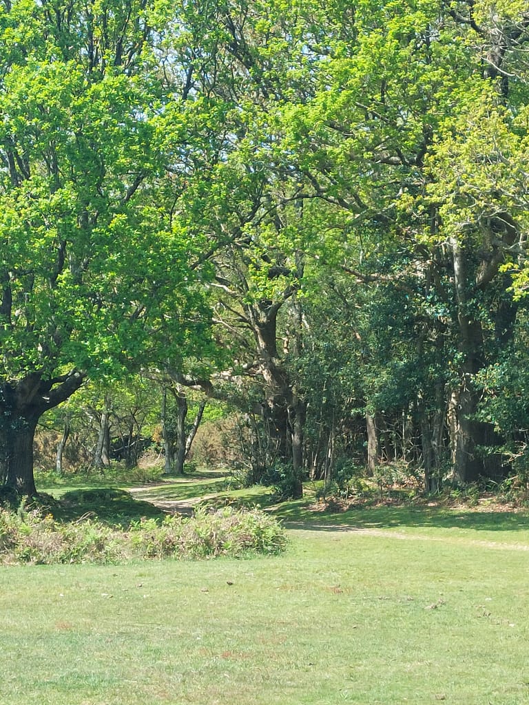 summer at Shirley Holm