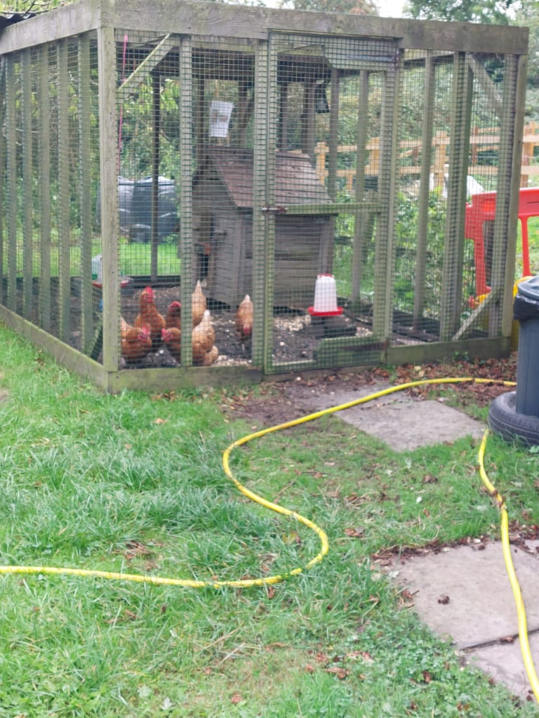 chicken coop