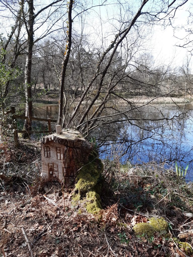 little house by pond