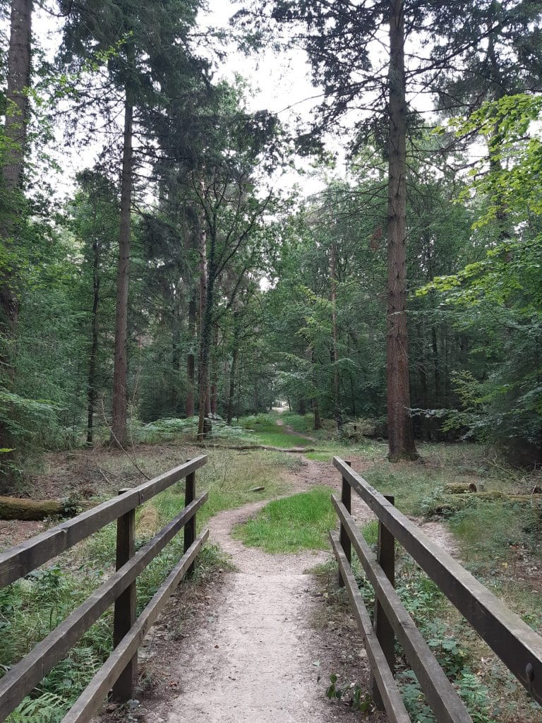 one of several bridges