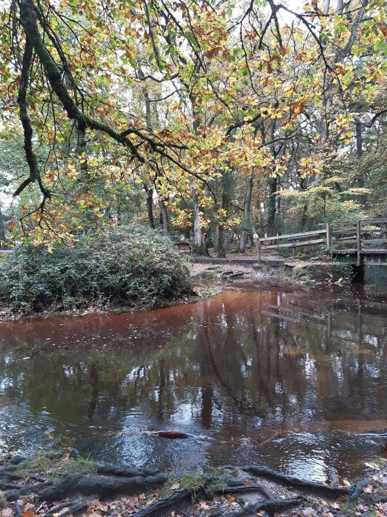 Puttles bridge