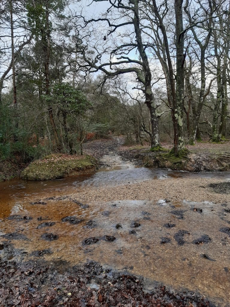 gravel bedded stream
