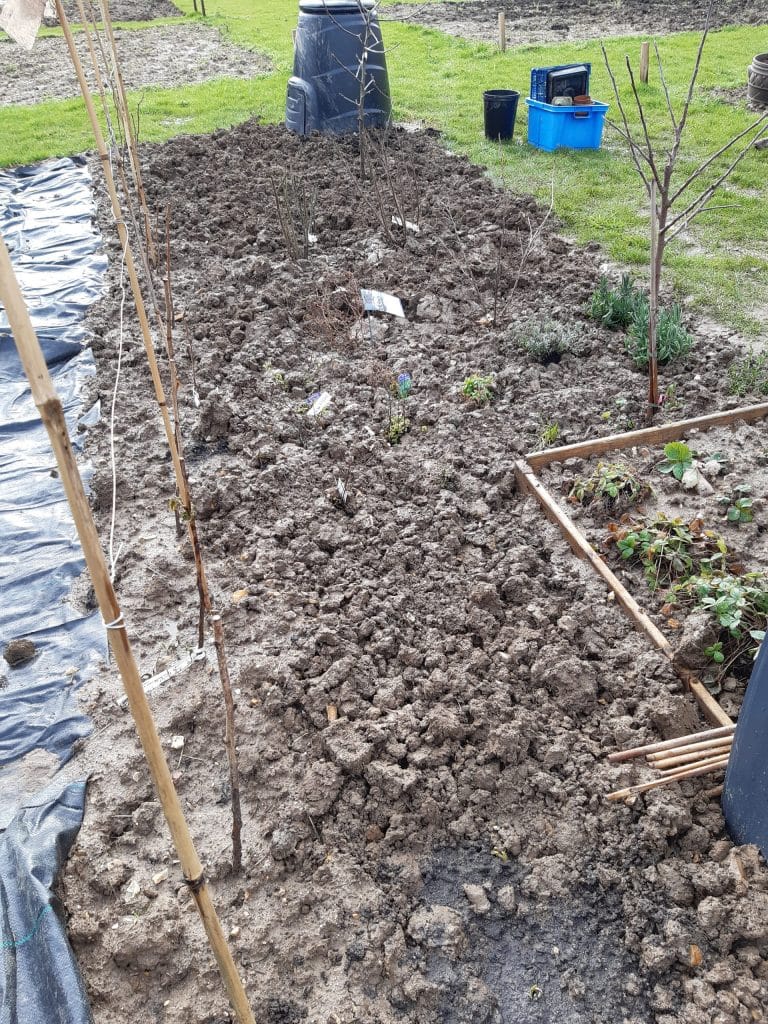 raspberry canes and supports completed
