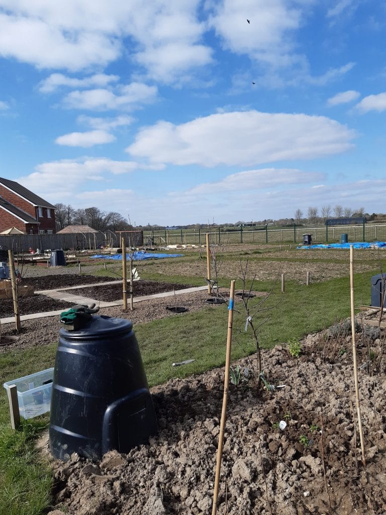 Alexandra Meadows allotments