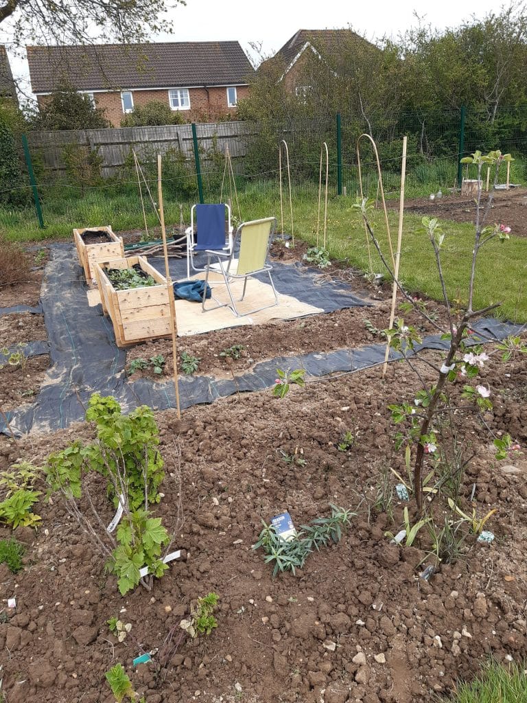 our plot early May