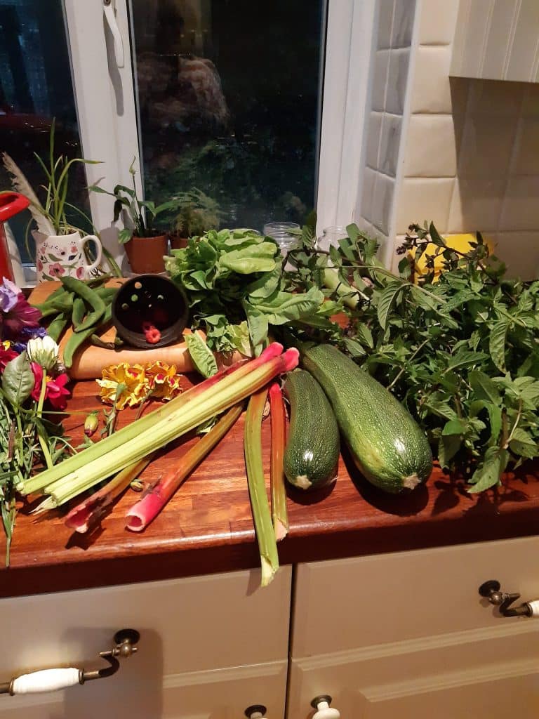 one day's harvest