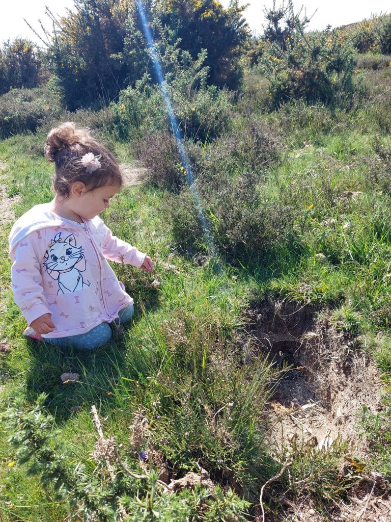 finding a rabbit hole