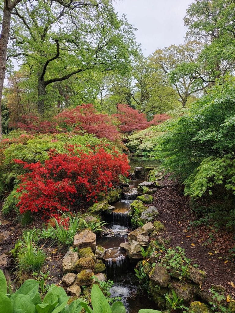 Cascades