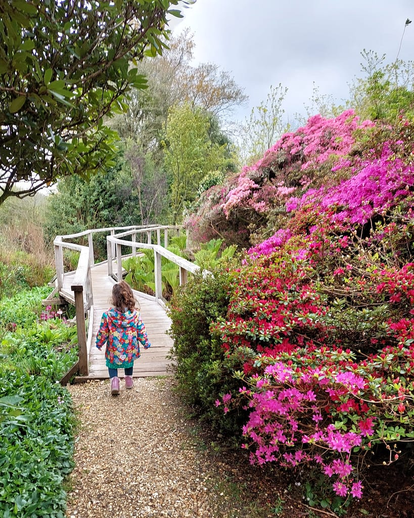 spring at Furzey Gardens