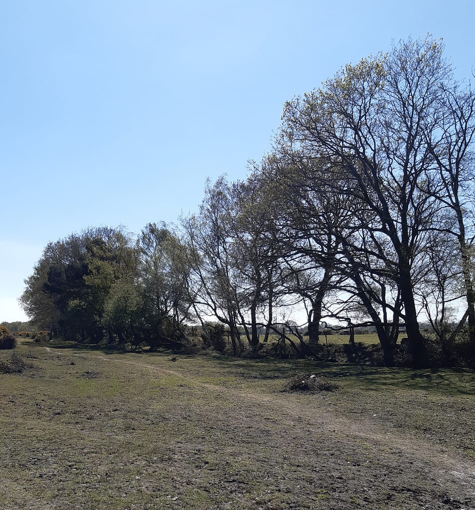 Stockley tracks