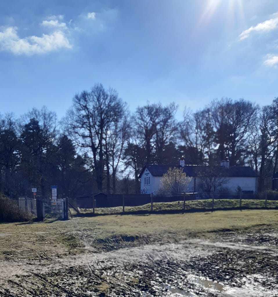 cottages by the railway crossing in the woods