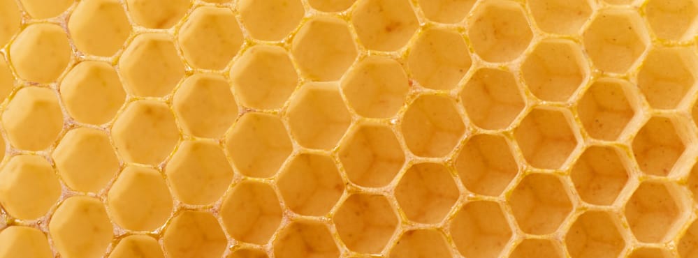 honeycomb